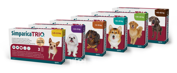 심패리카 트리오