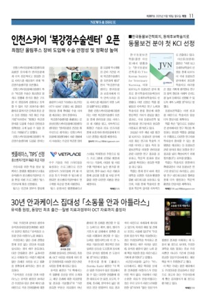 11면