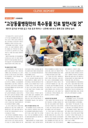 19면