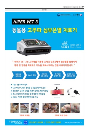 29면