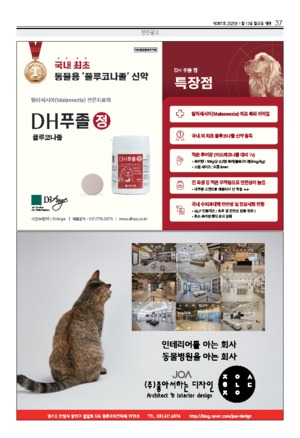 37면