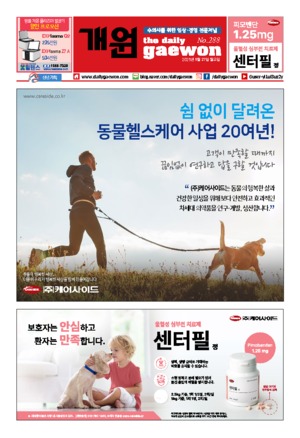 01면