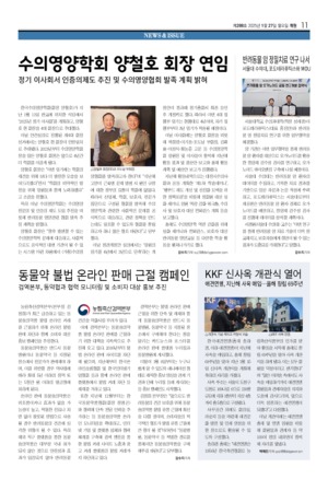 11면