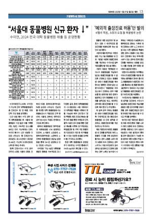 13면