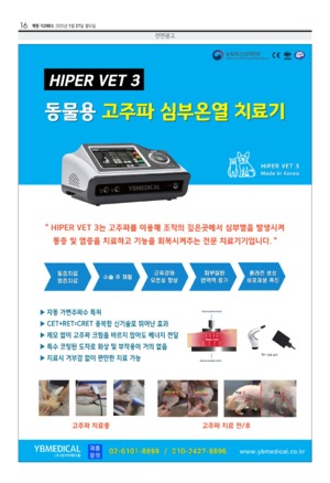 16면