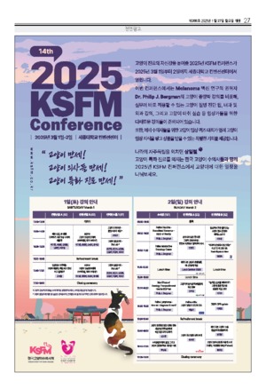 27면