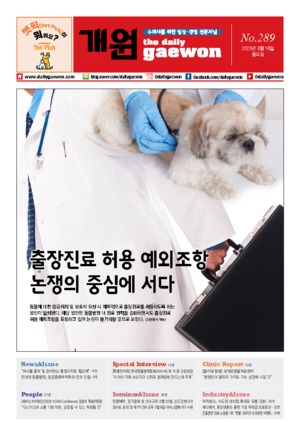 01면