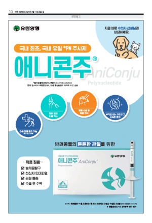 10면