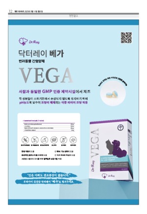 12면