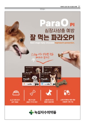29면