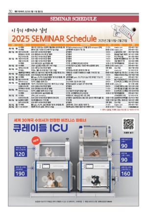 30면