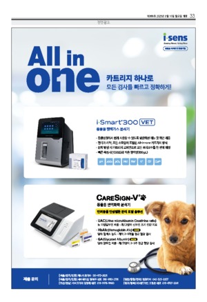33면