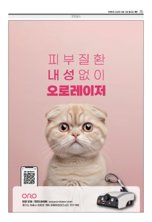 35면