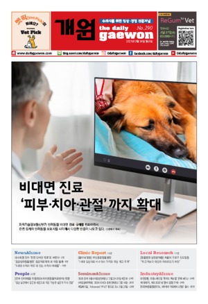 01면