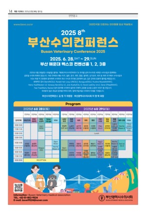 14면