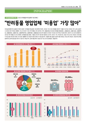 19면