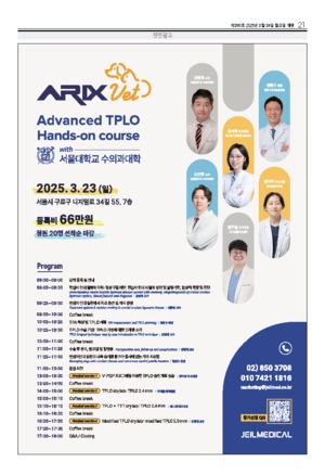 21면