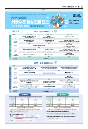 25면