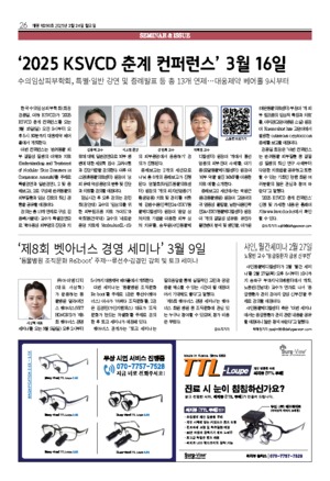 26면