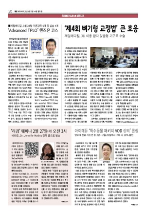 28면