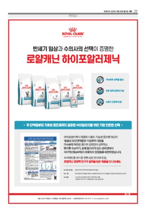 29면