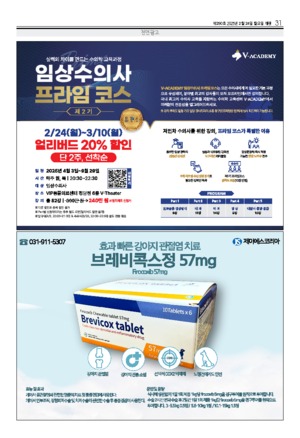 31면