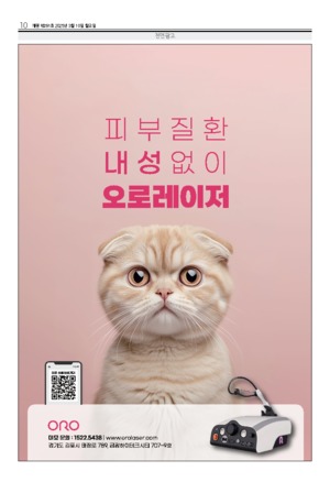 10면