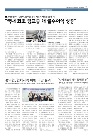 11면