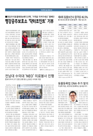 13면