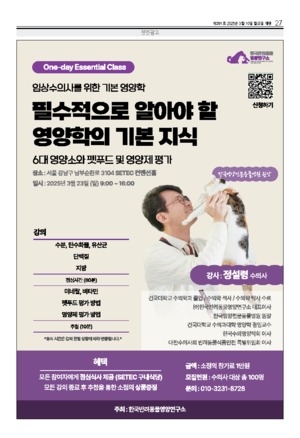 27면