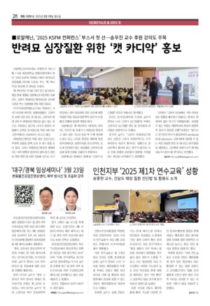 28면