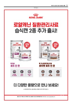 29면