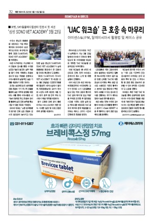 32면