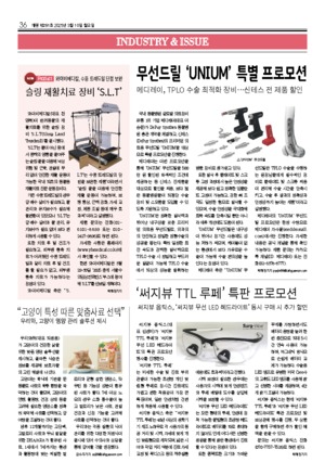36면