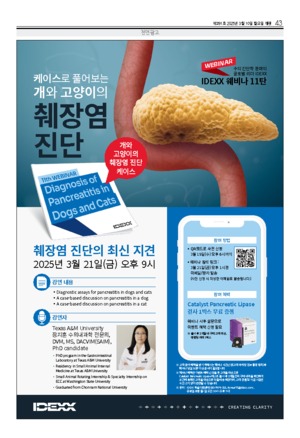 43면