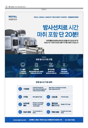 12면