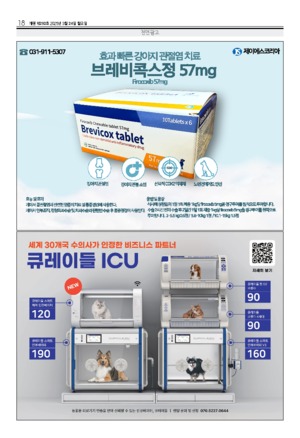 18면
