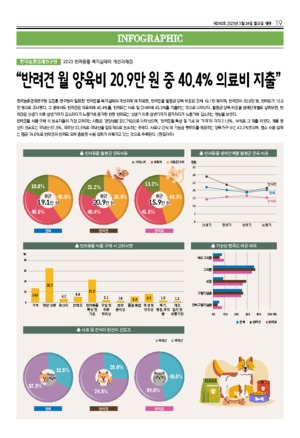 19면