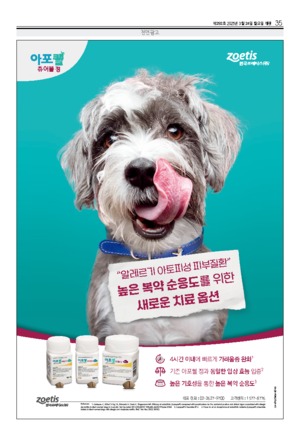 35면