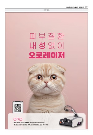 39면