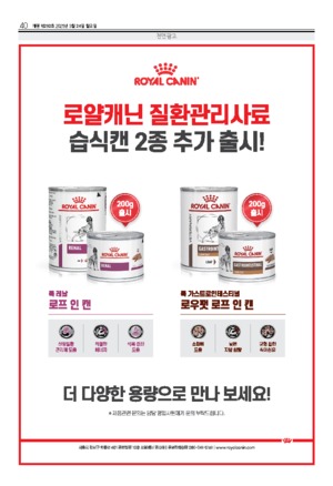 40면