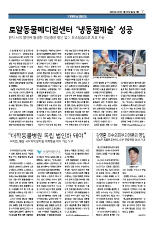11면
