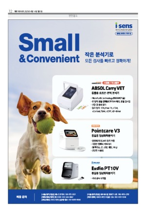 12면