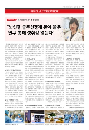 19면