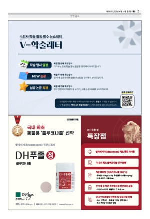 31면