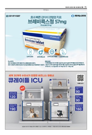 35면