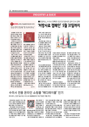 36면