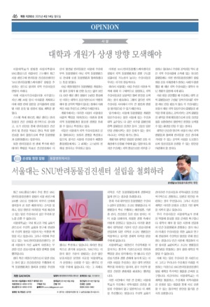 46면
