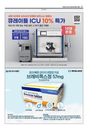 25면