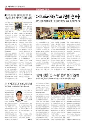 28면